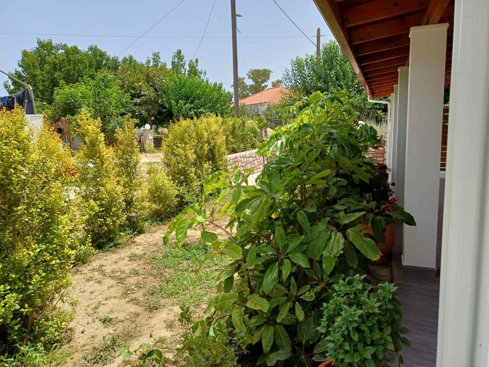 Aggelikis House Σπίτι διακοπών