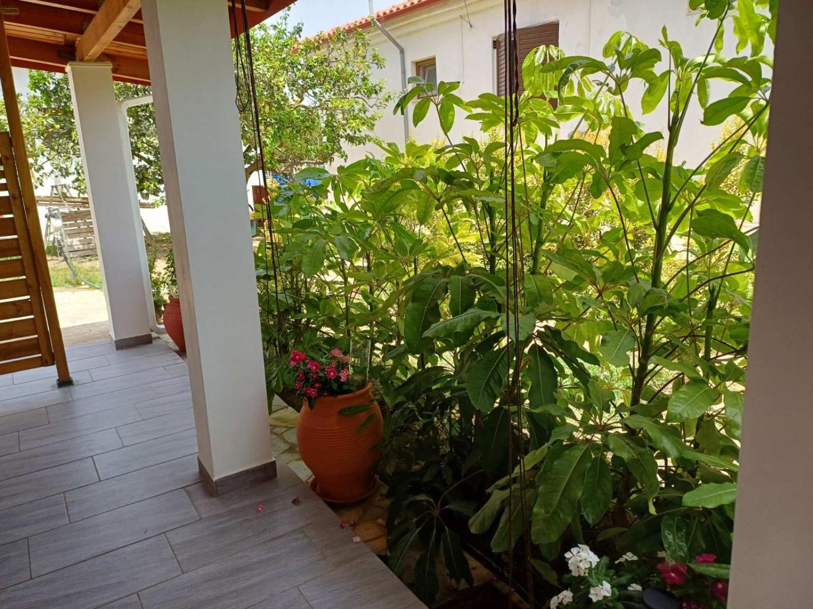 Aggelikis House Σπίτι διακοπών Μεθώνη